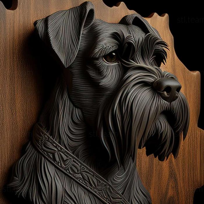 Mittelschnauzer dog